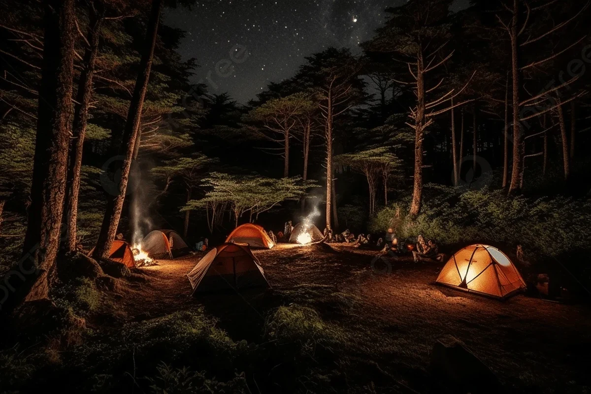 How to Choose a Sleeping Bag