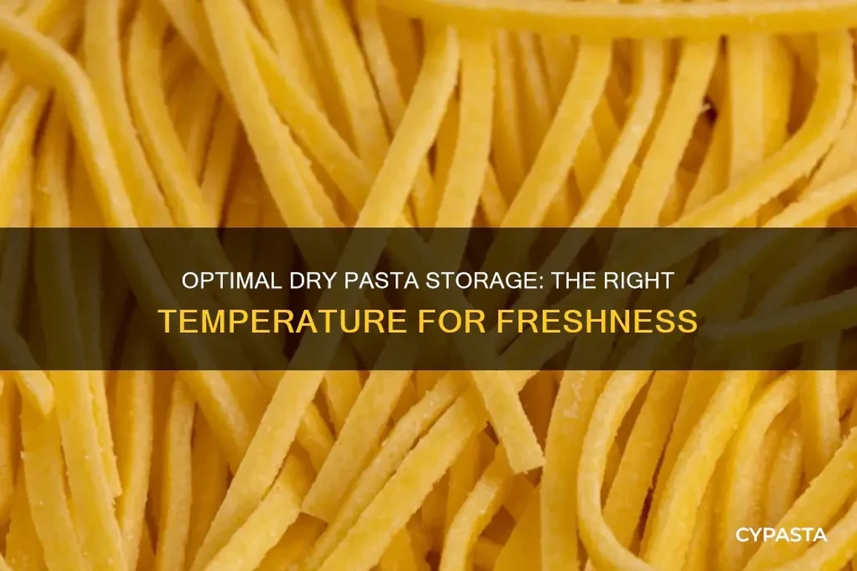 How to Store Dry Pasta for Freshness and Flavor