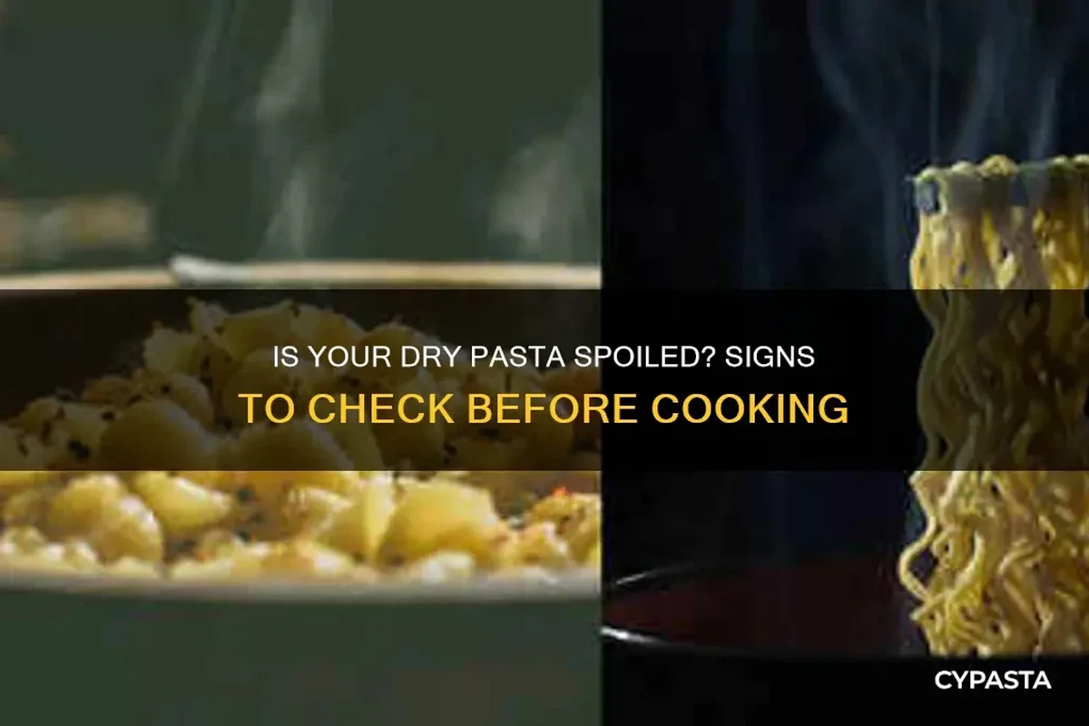 Dry pasta in a pantry container with visual signs used to check freshness before cooking